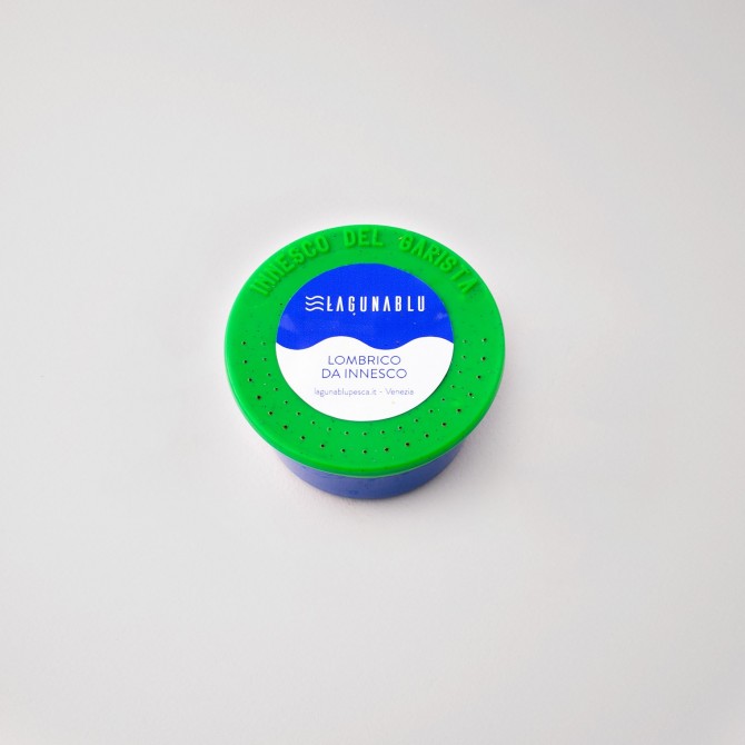 Lombrico da innesco