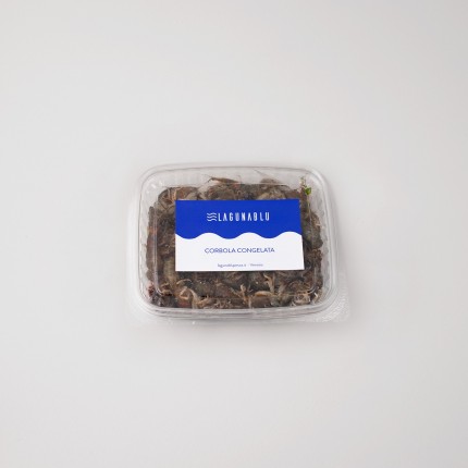 Corbola congelata