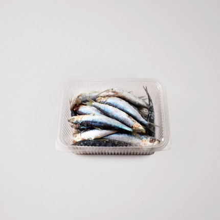 Sarde congelate 2